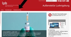 Der Pfeil zeigt auf die verschiedenen Bereiche von der Internet·seite.